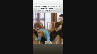 کیوتم/هوپم/جیمینی