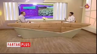 عذرخواهی مجری تلویزیون از خواندن اخبار امیدوارکننده قیمت سیب‌زمینی