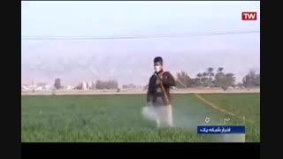 گوگرد مایع