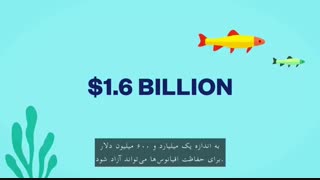 فروشگاه سی ال فون