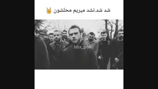 این همه خز بودن از کجا میاد ://///@-----@