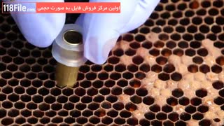 فوت و فن زنبور داری