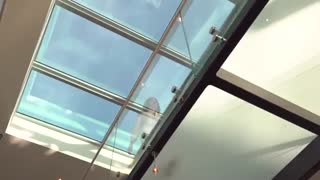 Carla Ridge, Beverly Hills, CA