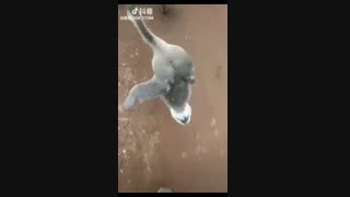 جواب چالش خودم..همه بخونین