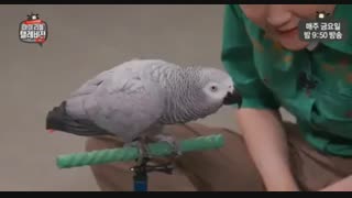 وقتی کاسکو به چانهون میگه اوپاا...کاملتر