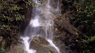 طبیعت گردی