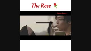 pt1..therose
