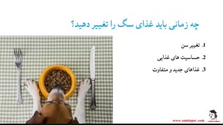 تغییر غذای سگ