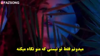 ترجمه آهنگ Serena به نام Safari