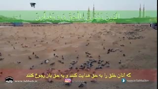 صلوات خاص  امام سجاد علیه السلام