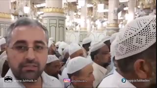 شیرینی زیارت