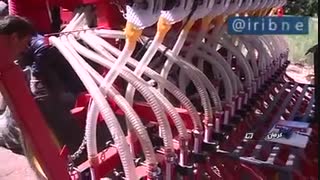 کینوا؛ گیاهی پربازده و مقاوم در برابر خاک و آب شور