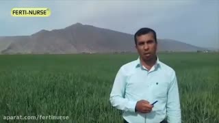 مصاحبه با کشاورز یراحی در رابطه با استفاده از محصولات فرتی نرس