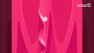 My Princess Castle - Doll and Home Decoration Game