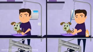 آرایشگاه حیوانات خانگی پت استایلیست