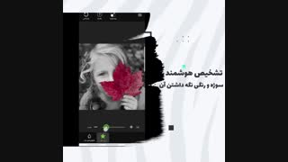 نمونه کار