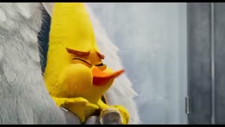 The Angry Birds Movie 2 | Key Card Clip | In Cinemas August 23