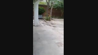 بچه ها همه بیاین ت
