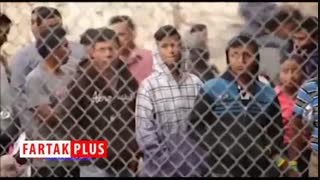 حقایقی تکان دهنده در مورد سرنوشت مهاجرت آمریکا