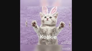 بی تی اس (cat version)