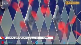 بنای کازاباتیو(کازابالیو) ساختمان استخوان ها در بارسلونا- بوکینگ پرشیا bookingpersia