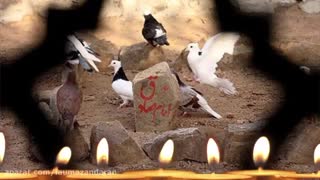 کلیپ شهادت امام جعفر صادق (ع)