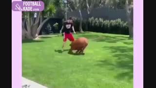 لحظات شاد خانواده ی مسی با یک سگ غول پیکر!