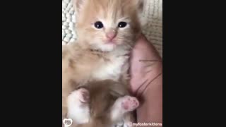 من از اینا می خوااااااام