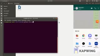 آسیپ پذیری پیام رسان ها با فایرفاکس