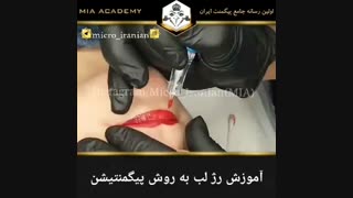 آموزش میکروپیگمنتیشن لب