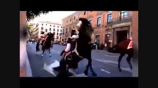 فقط برای خنده : صحنه های فوق العاده دیدنی و خنده دار