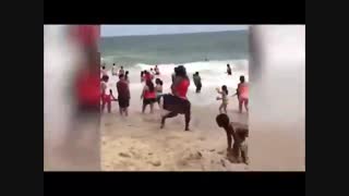 فقط برای خنده : خنده دار ترین کلیپ دنیا- جدید