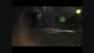 میکس : کلیپ ها و ویدیوهای خنده دار و جالب- کوتاه