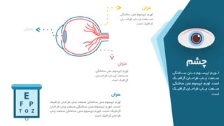 قالب پاورپوینت اعضا بدن