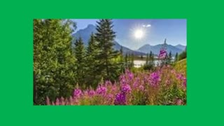 معنای اصطلاحی دین