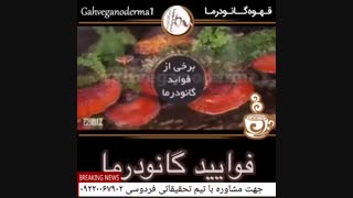 خواص قارچ گانودرما