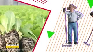 از کجا شروع کنم...تولید نشاء