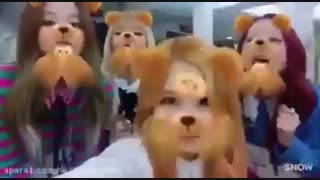 لطفا ایشون رو دنبال کنید