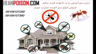 فروش قویترین و اثرگذار ترین سم سوسک کش