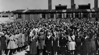 Free Discussion; Holohoax!