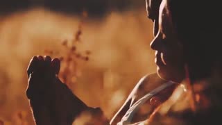 مجموعه کاربری از 5000 ترانزیشن و پریست عالی برای پریمیر