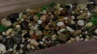 ساخت میز رزینی از صفر تا صد