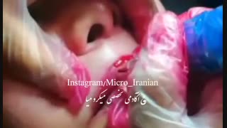 آموزش شیدینگ لب