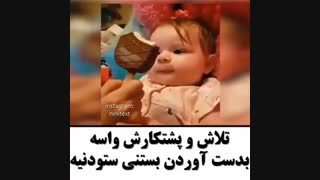 تلاشش لایک داره به مولا
