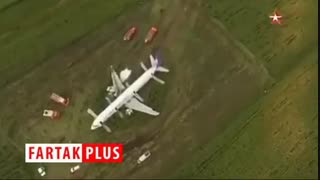 حمله ناگهانی مرغ‌های دریایی سبب فرود خطرناک هواپیما وسط مزرعه ای در روسیه شد