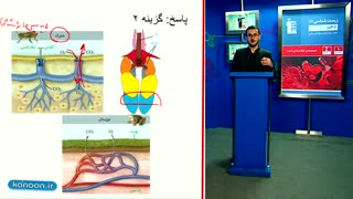تست زیست شناسی کنکور - معلم خصوصی زیست شناسی