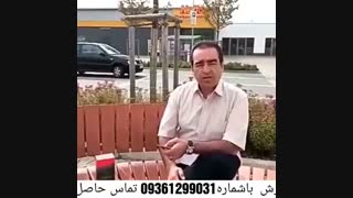 قارچ گانودرما چیست