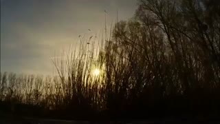 کوادکوپتر خیال راحت کن دوربین دار Syma X8HW/ایستگاه پرواز