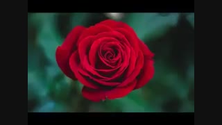 چاااالش جدید...