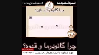 چرا قهوه زودتر جذب بافت های بدن میشود